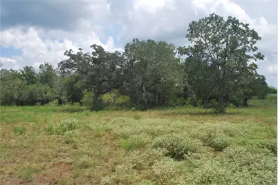 Tbd Lot 24 N State Highway 95, Flatonia, TX 78941 - Photo 10