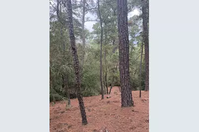 Lot 69 and 70 Taro Court, Bastrop, TX 78602 - Photo 6