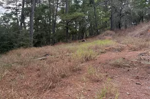 Lot 69 and 70 Taro Ct, Bastrop, TX 78602 - Photo 1