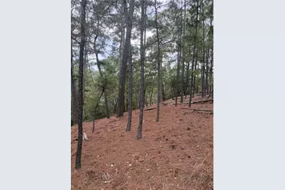 Lot 69 and 70 Taro Court, Bastrop, TX 78602 - Photo 4