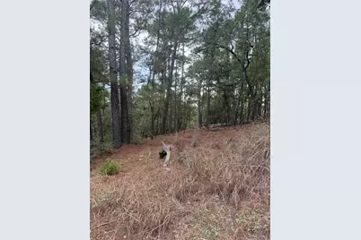 Lot 69 and 70 Taro Court, Bastrop, TX 78602 - Photo 2