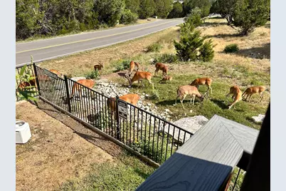 20501 Houston Cove, Lago Vista, TX 78645 - Photo 36