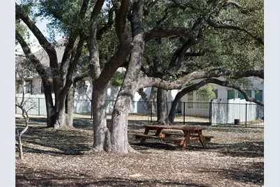 225 Diamondback Drive, Georgetown, TX 78628 - Photo 38