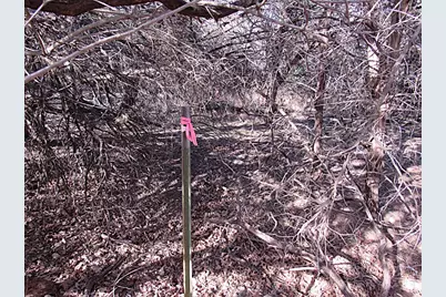 10784 Highview Drive, Belton, TX 76513 - Photo 4