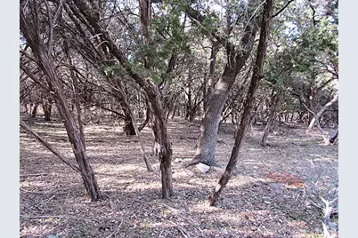 10784 Highview Drive, Belton, TX 76513 - Photo 8