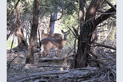 10784 Highview Drive, Belton, TX 76513 - Photo 12