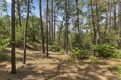 138 Papawai Drive, Bastrop, TX 78602 - Photo 38