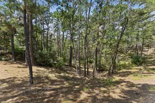 138 Papawai Dr, Bastrop, TX 78602 - Photo 36