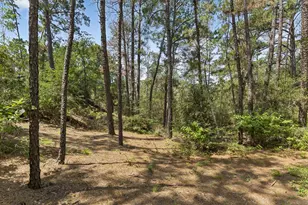 138 Papawai Dr, Bastrop, TX 78602 - Photo 38