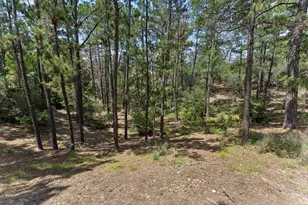 138 Papawai Dr, Bastrop, TX 78602 - Photo 38