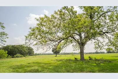 624 County Road 306, Rockdale, TX 76567 - Photo 38