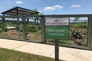 9509 Demure Dr, Manor, TX 78653 - Photo 24