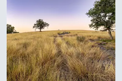 1547 Pressler Road, Fredericksburg, TX 78624 - Photo 16