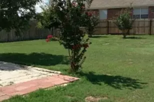 811 Shadow Creek Blvd, Buda, TX 78610 - Photo 14