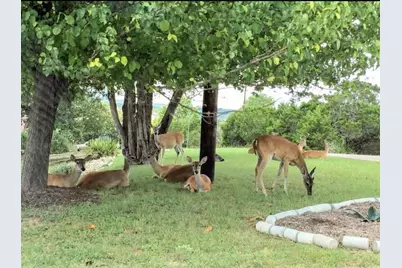 20010 Columbus Lane, Lago Vista, TX 78645 - Photo 6