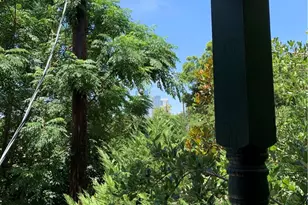 1725 Toomey Rd, Austin, TX 78704 - Photo 8