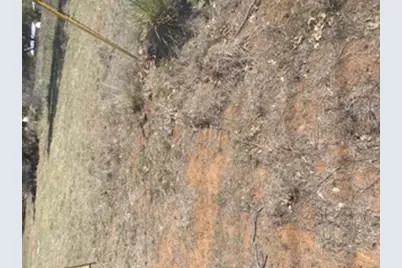 000 Lakeview Lane, Marble Falls, TX 78654 - Photo 2