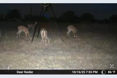 1155 Fm 1600, Cameron, TX 76520 - Photo 8