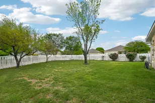 808 Great Sand Dunes Ave, Pflugerville, TX 78660 - Photo 38
