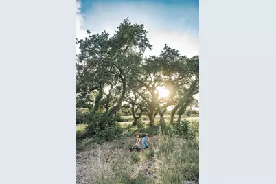 17650-A Hamilton Pool Road, Austin, TX 78738 - Photo 4