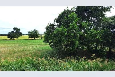 3135 Cr 432 Road, Thorndale, TX 76577 - Photo 8