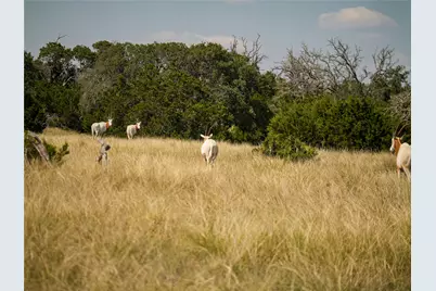 39 Buckskin Path, Fredericksburg, TX 78624 - Photo 14