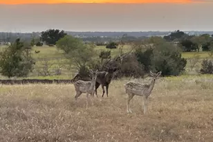 7800 Co Rd 210, Bertram, TX 78605 - Photo 26