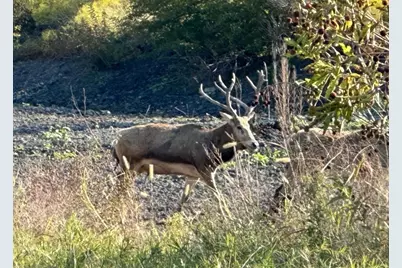 7800 County Road 210, Bertram, TX 78605 - Photo 24
