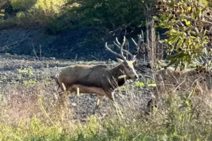 7800 Co Rd 210, Bertram, TX 78605 - Photo 24