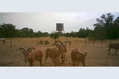 7800 County Road 210, Bertram, TX 78605 - Photo 32