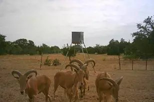 7800 Co Rd 210, Bertram, TX 78605 - Photo 32