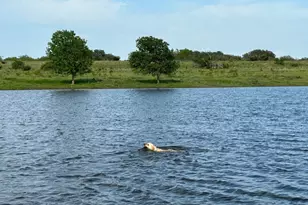 7800 Co Rd 210, Bertram, TX 78605 - Photo 10