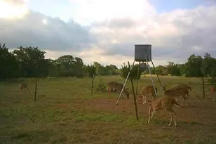 7800 Co Rd 210, Bertram, TX 78605 - Photo 30