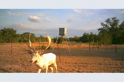 7800 County Road 210, Bertram, TX 78605 - Photo 34