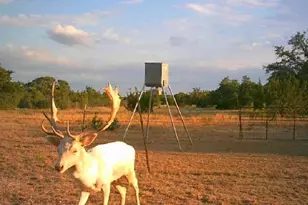 7800 Co Rd 210, Bertram, TX 78605 - Photo 34