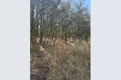 Lot 118 W Keomuku Lane, Bastrop, TX 78602 - Photo 6