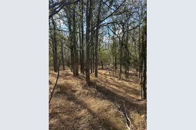 Lot 118 W Keomuku Lane, Bastrop, TX 78602 - Photo 2