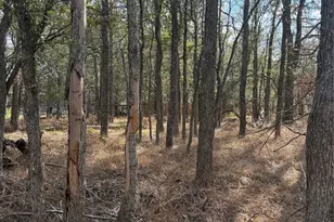 Lot 118 W Keomuku Ln, Bastrop, TX 78602 - Photo 1