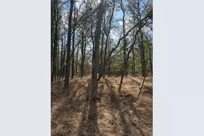 Lot 118 W Keomuku Lane, Bastrop, TX 78602 - Photo 4