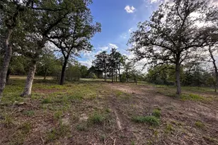 368 Woodlands Dr, Bastrop, TX 78602 - Photo 36