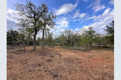 368 Woodlands Drive, Bastrop, TX 78602 - Photo 38