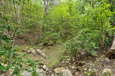 2113 Thornton Road, Austin, TX 78704 - Photo 28