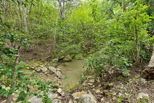 2113 Thornton Rd, Austin, TX 78704 - Photo 26