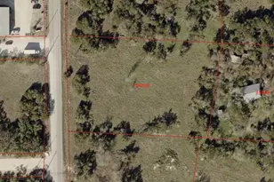 5303 Bell Springs Rd, Dripping Springs, TX 78620 - Photo 6