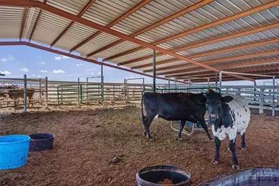 5300 County Road 424, Taylor, TX 76574 - Photo 34