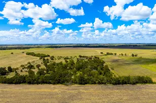 0 Tract 2 Cr 470 Center, Coupland, TX 78615 - Photo 14