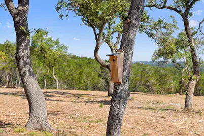 9475 Fm 32, Lot 9, Fischer, TX 78623 - Photo 8