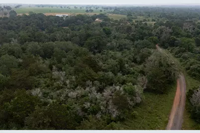 Lot 4 Private Road 4601, Waelder, TX 78959 - Photo 6