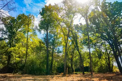 12524 Red Hill Road, Hearne, TX 77859 - Photo 8