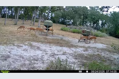 7604 N US Highway 77 Highway, La Grange, TX 78945 - Photo 40